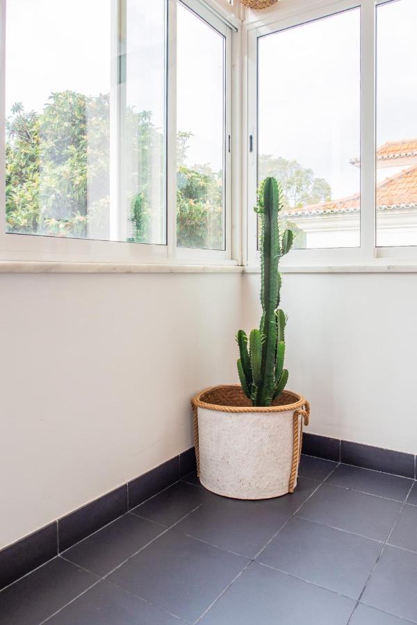 Apartament Casa De Cascais Do Pipas Zewnętrze zdjęcie
